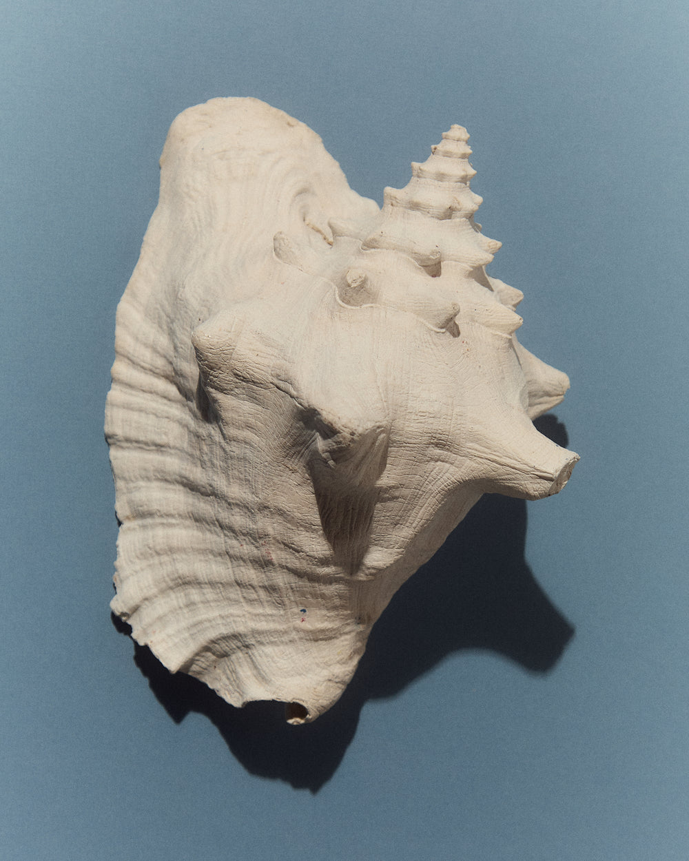 Radio Luce: Alta Marea's Summer Sounds