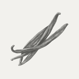 Vanilla